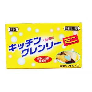 日本進口安潔濃縮洗碗皂350G