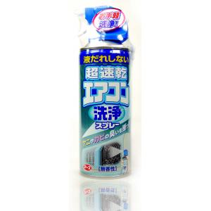 日本製EARTH(超速乾型)冷氣清潔噴霧170ML