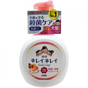 LION(果香)手部泡沫清潔液500ML