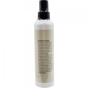 CHAHONG 3秒美髮女神級定型噴霧250ML 